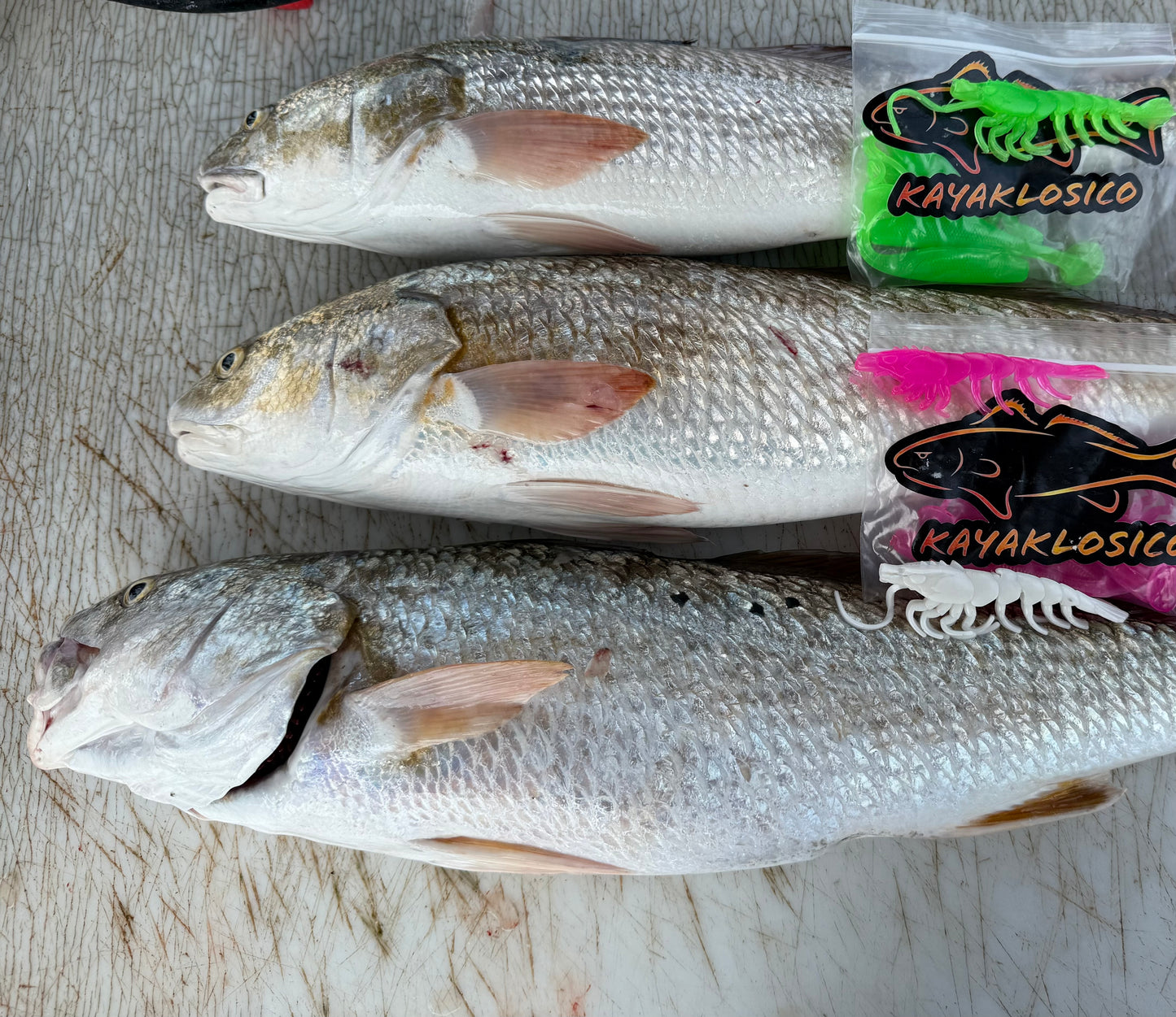 KAYAKLOSICO RATTLE SHRIMP LURE